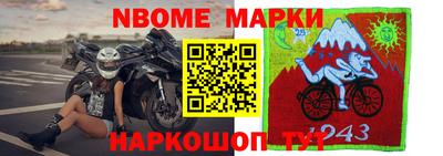 крисы Аргун