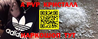 крисы Аргун