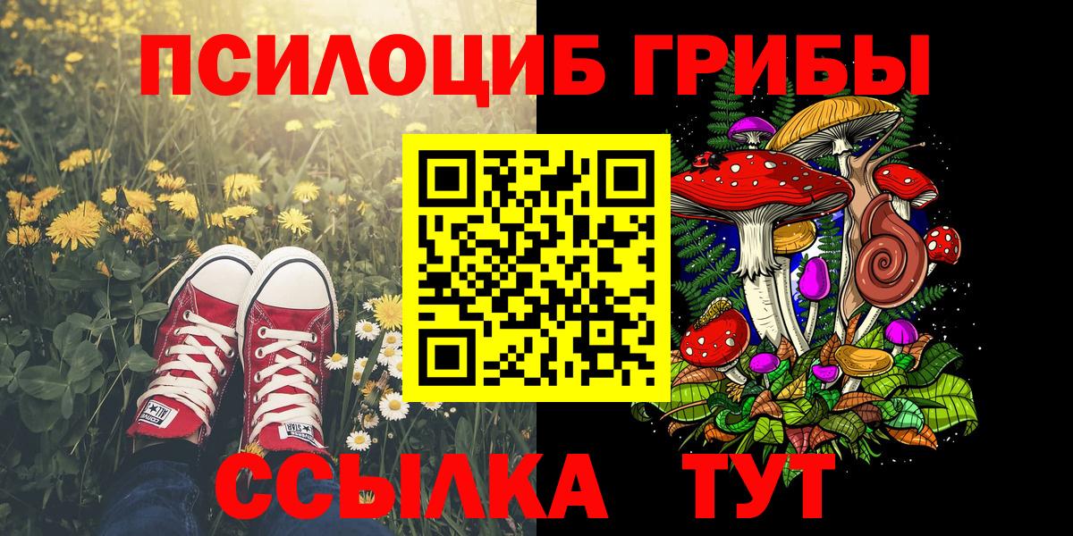 Вятские Поляны  Галлюциногенные грибы Psilocybine cubensis  Вход с VPN 